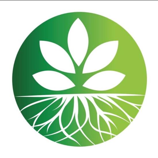 Veggie Fresh LLC